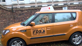 Fake Driving School - Cindy Shine inkább baszik a vezetés helyett